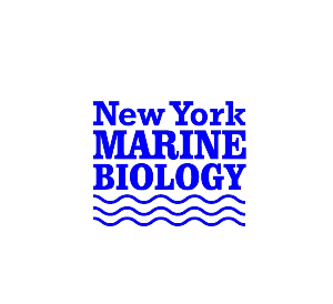 Support Marine Bio Seniors fund their research trip to La Habana